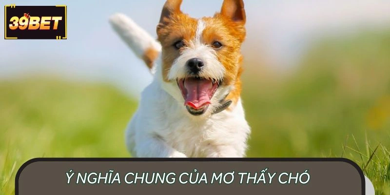 Ý nghĩa chung của việc chiêm bao thấy chó